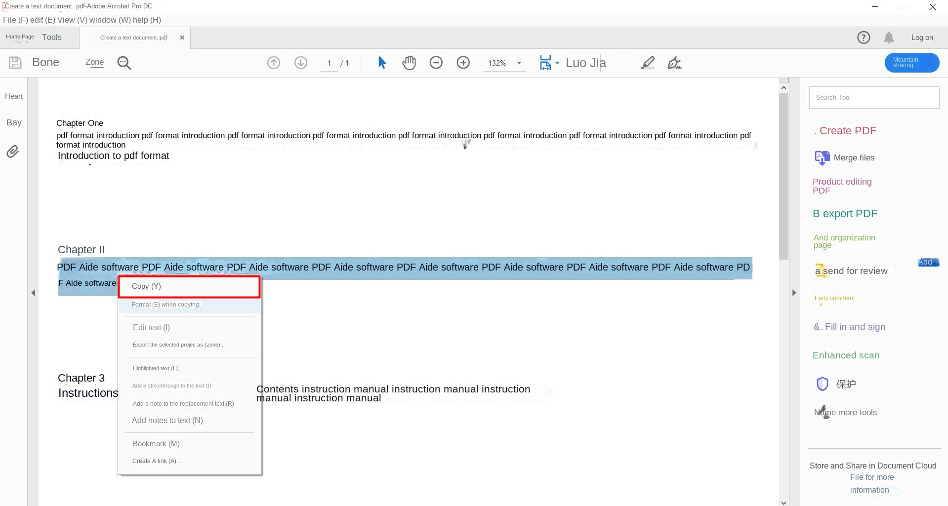 Copiare il contenuto del documento PDF