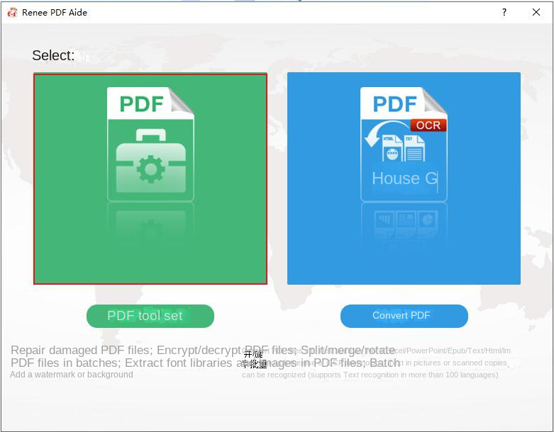 Opzioni del set di strumenti PDF