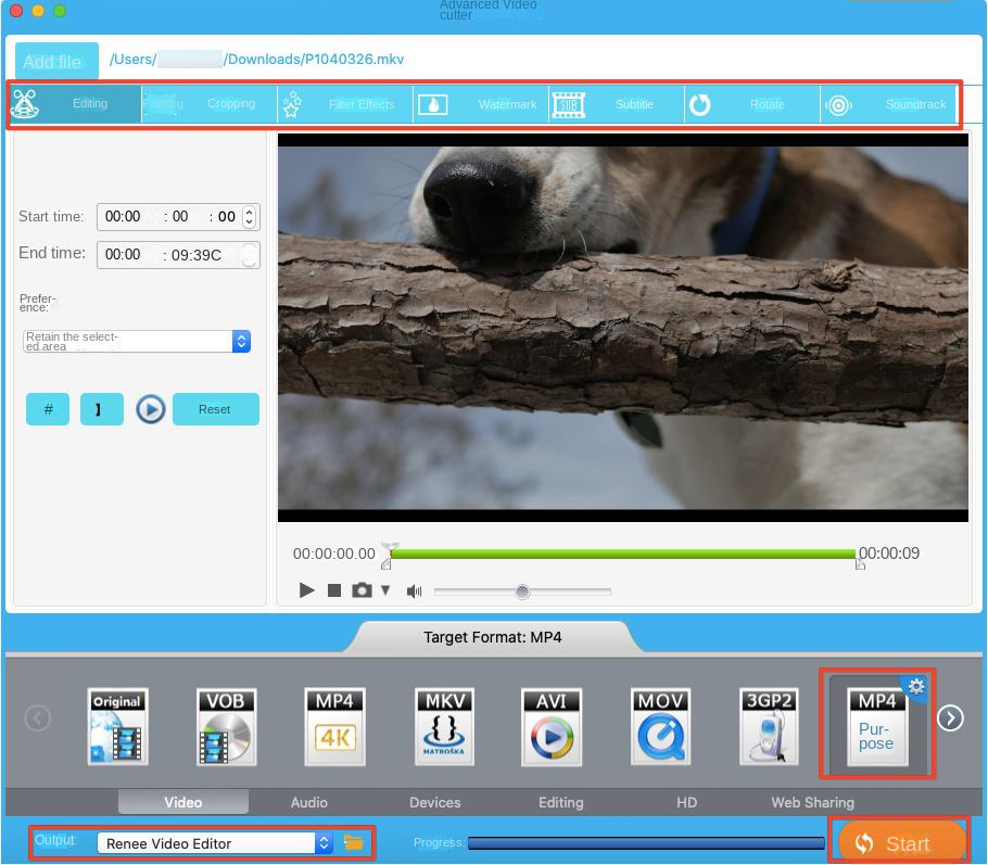 Il software Renee Video Editor per Mac esporta i file video MP4 convertiti