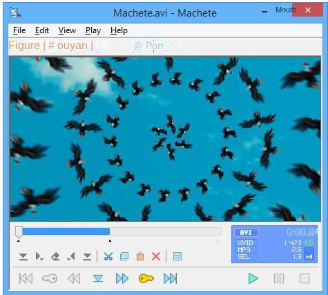 Interfaccia del software Machete Video Editor Lite