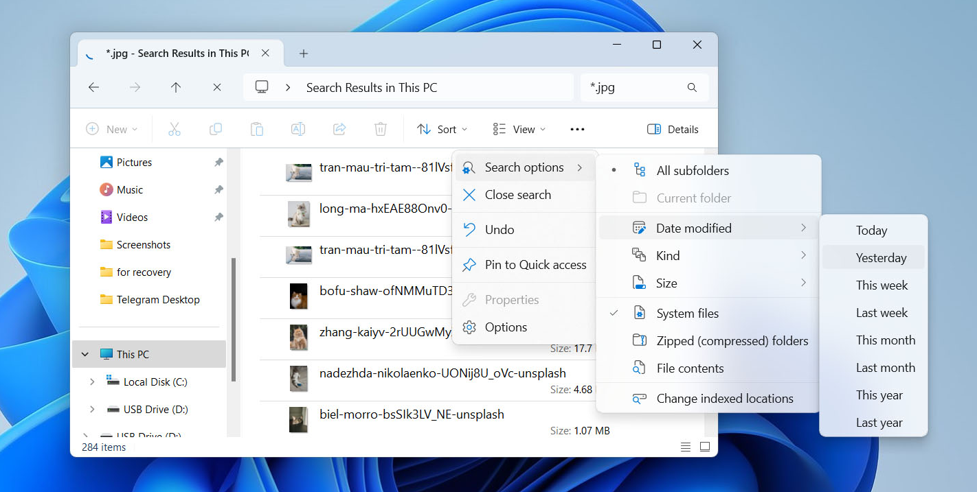 Usa le opzioni di ricerca su Windows