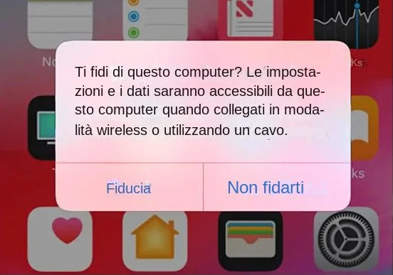 fidati di questo computer su iPhone