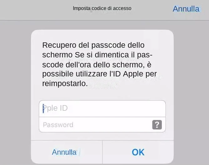 codice di accesso allo schermo