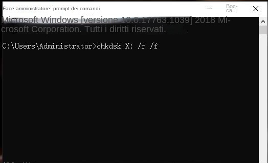 Immettere il comando chkdsk