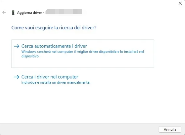 Cerca automaticamente i driver