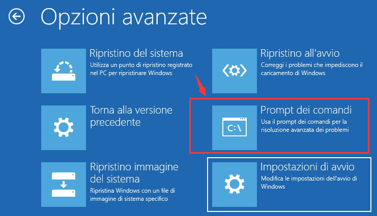 opzioni avanzate, prompt dei comandi