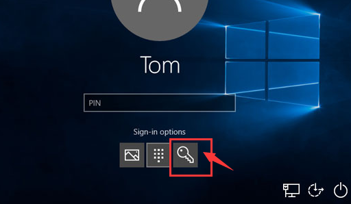 Opzioni di accesso a Windows, utilizza invece la password testuale