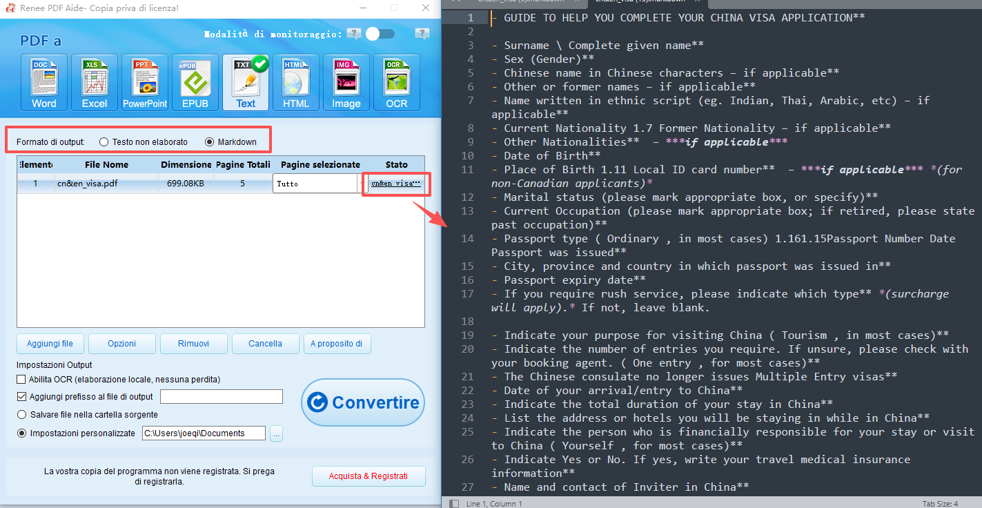converti pdf in txt o markdown