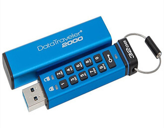 Kingston DT2000 USB