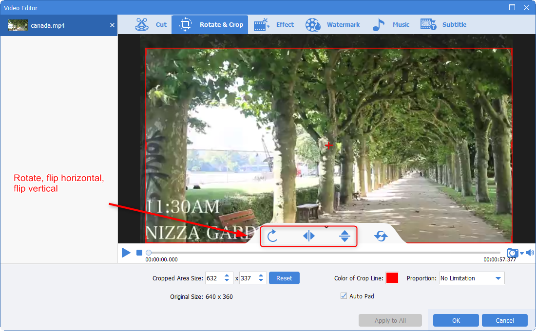 ruotare e capovolgere lo schermo del video in renee video editor pro