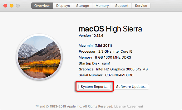 vai al rapporto di sistema mac