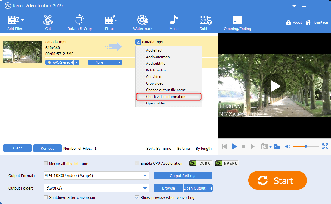 controllare le informazioni sul video in renee video editor pro
