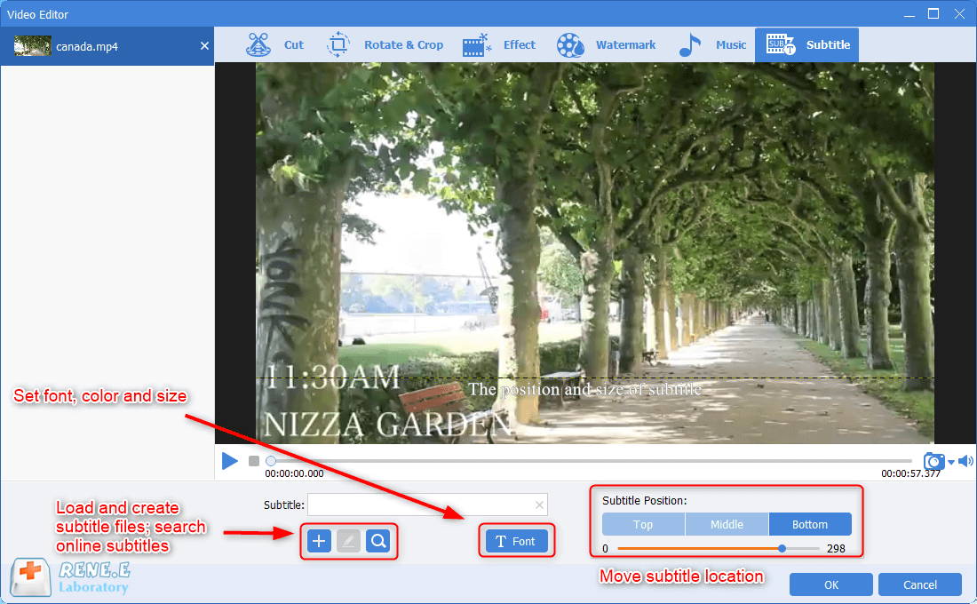 creare e caricare sottotitoli in renee video editor pro