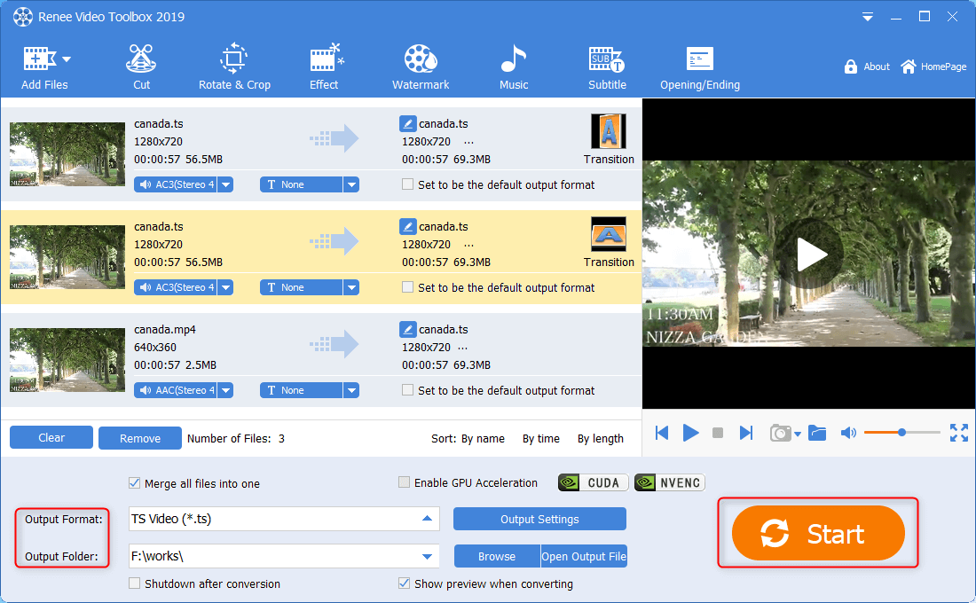 unire tutti i file ts in uno e produrli in renee video editor pro