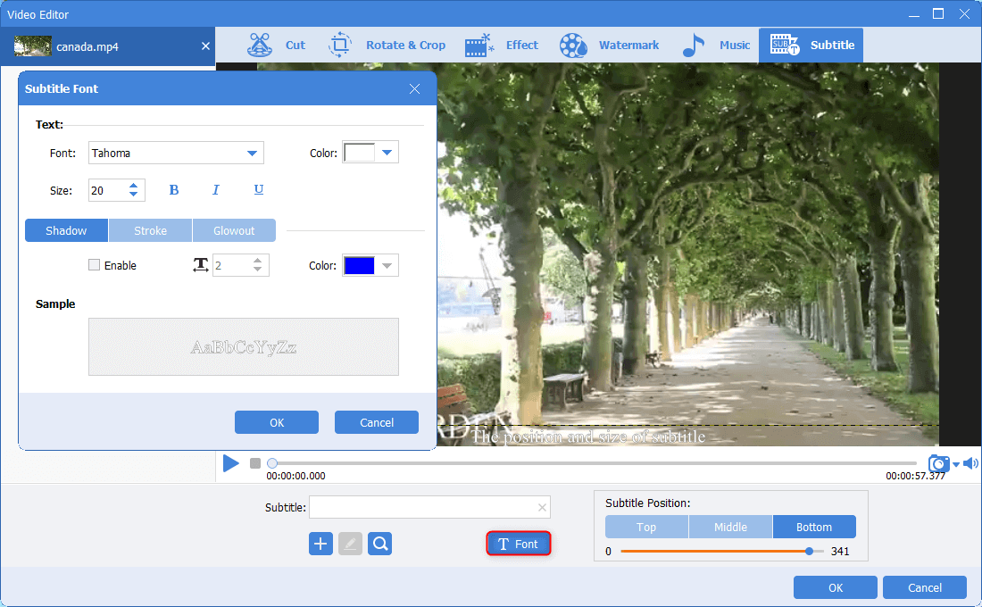 impostare lo stile dei caratteri per i sottotitoli in renee video editor pro