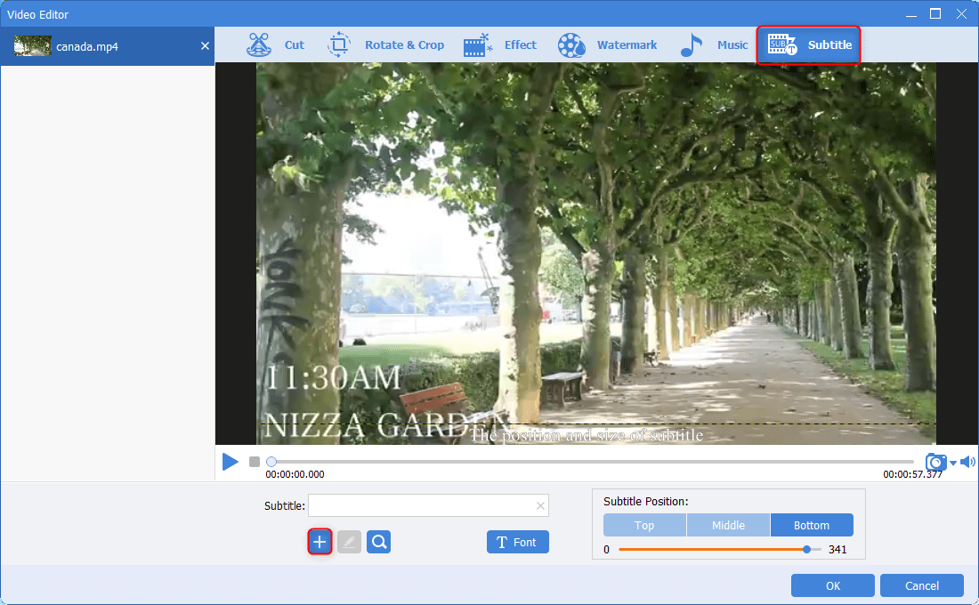 aggiungere sottotitoli in renee video editor pro