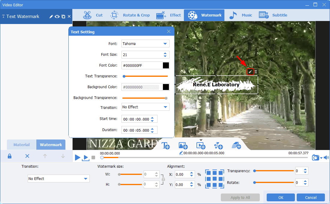 modificare la filigrana di testo in renee video editor pro