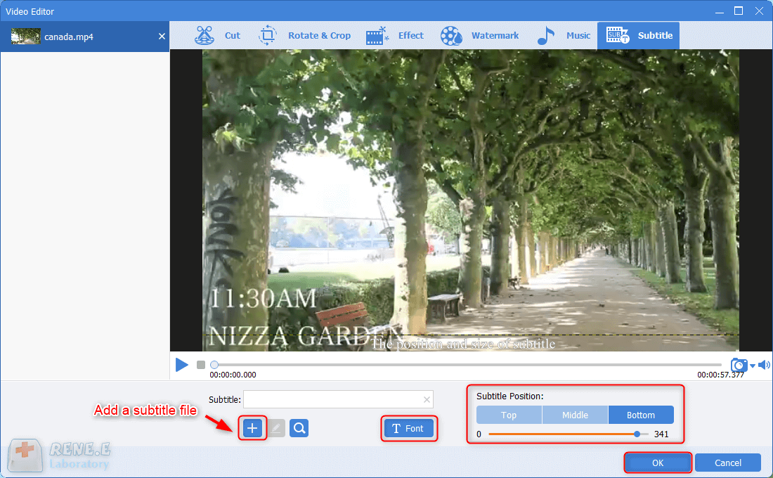 aggiungere un file subtile e poi regolare il tipo di carattere e la posizione in renee video editor pro