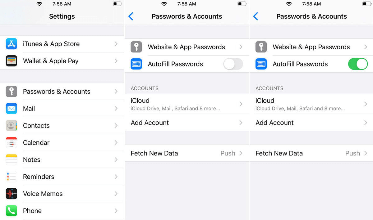 come gestire la password su iphone safari