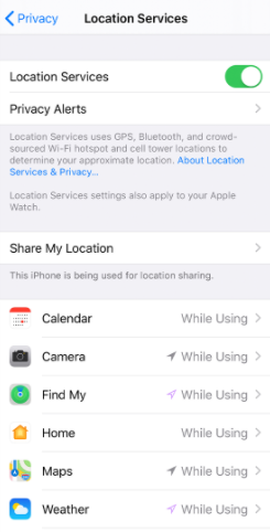 controllare la funzione di localizzazione nei servizi di localizzazione dell'iPhone