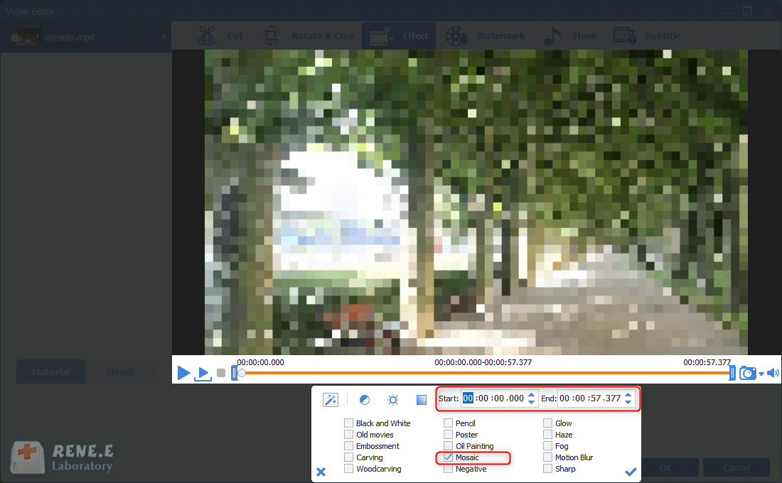 selezionare per aggiungere il filtro mosaico a un video in renee video editor pro