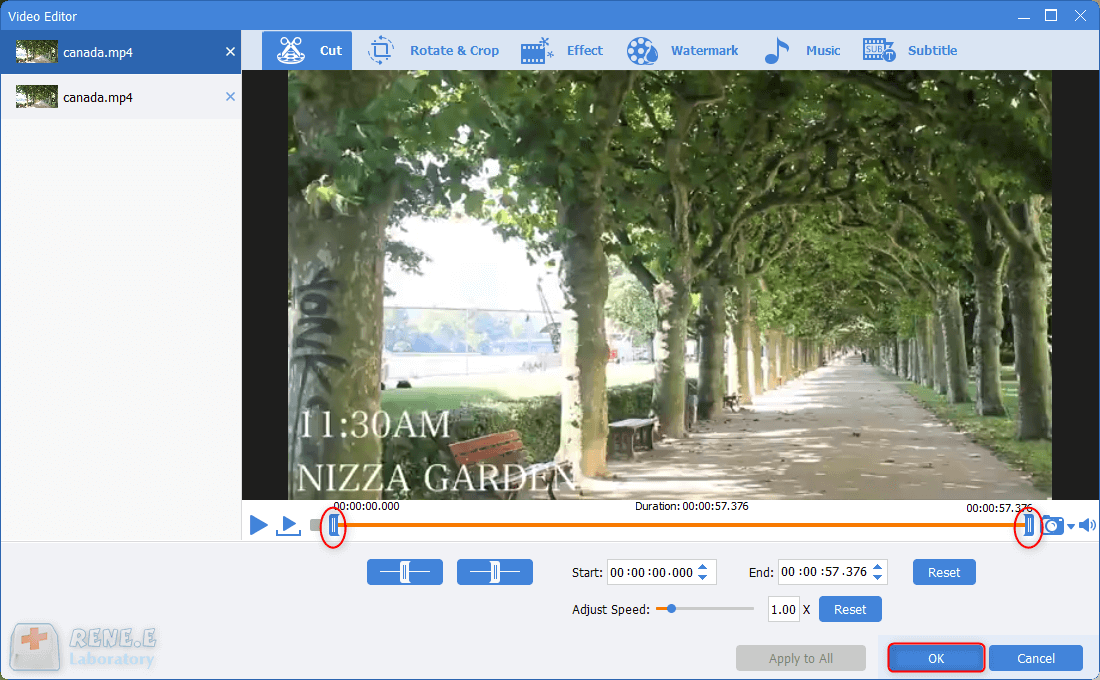 tagliare clip dai video in renee video editor pro