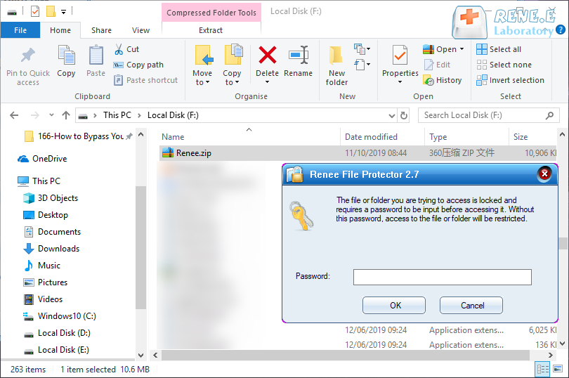 inserire la password per aprire il file zip criptato in renee file protector