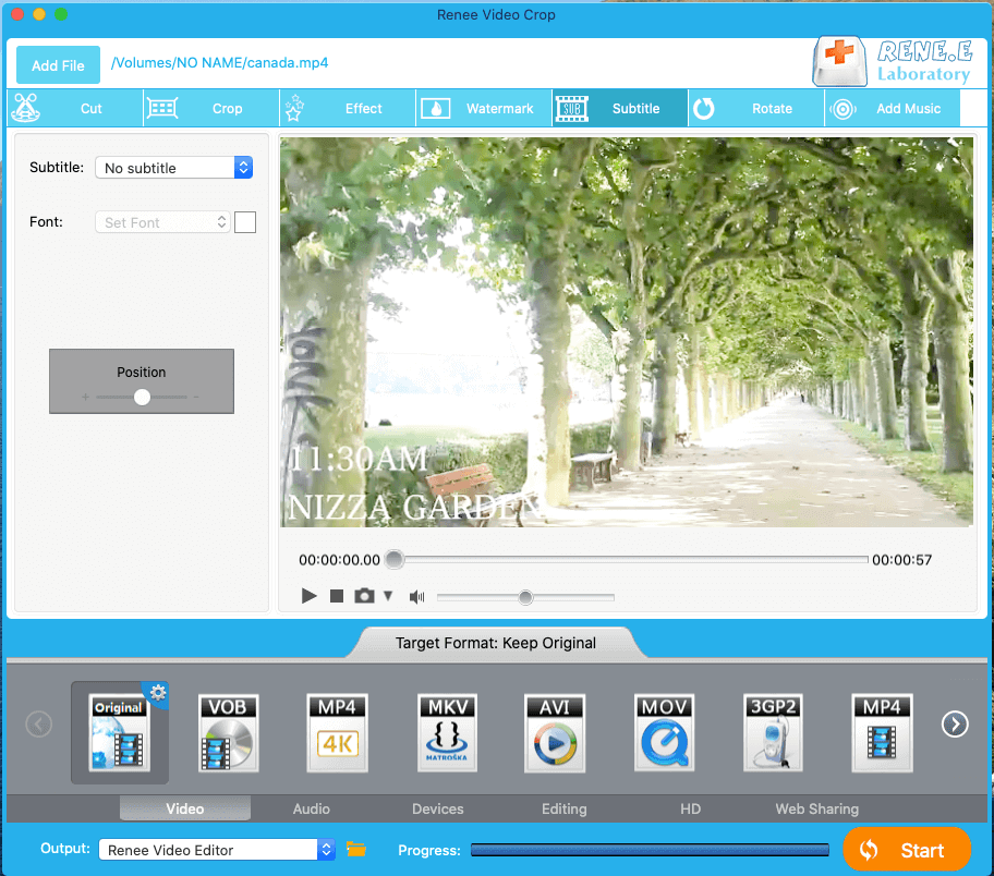 aggiungere sottotitoli ai video con renee video editor