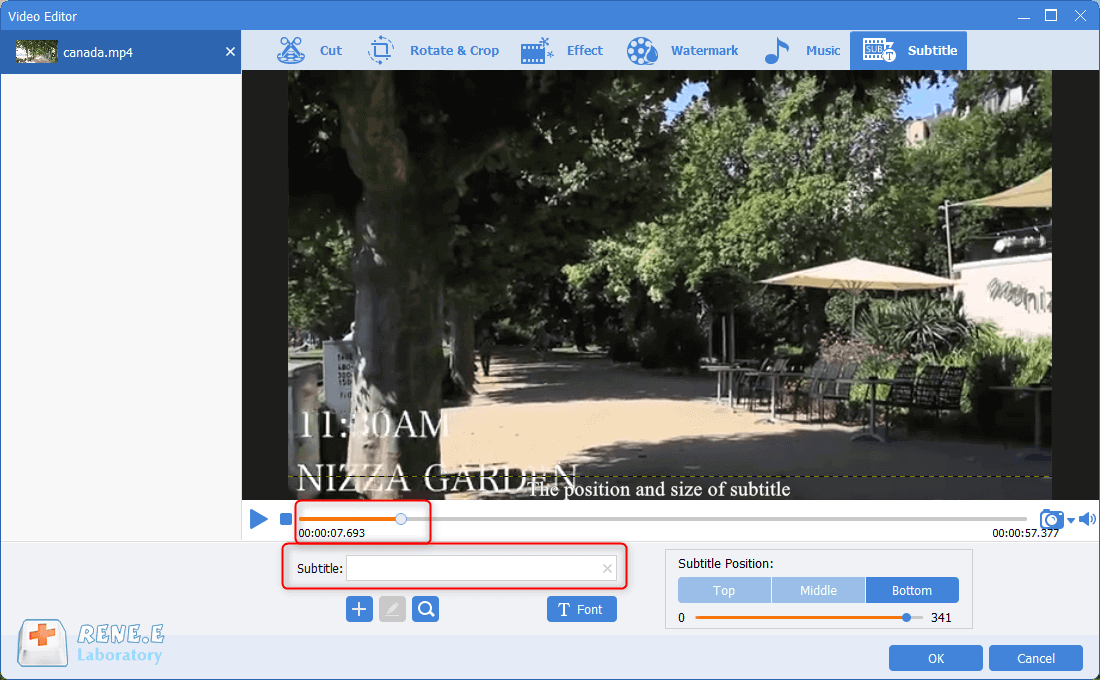 modificare i sottotitoli srt con renee video editor pro