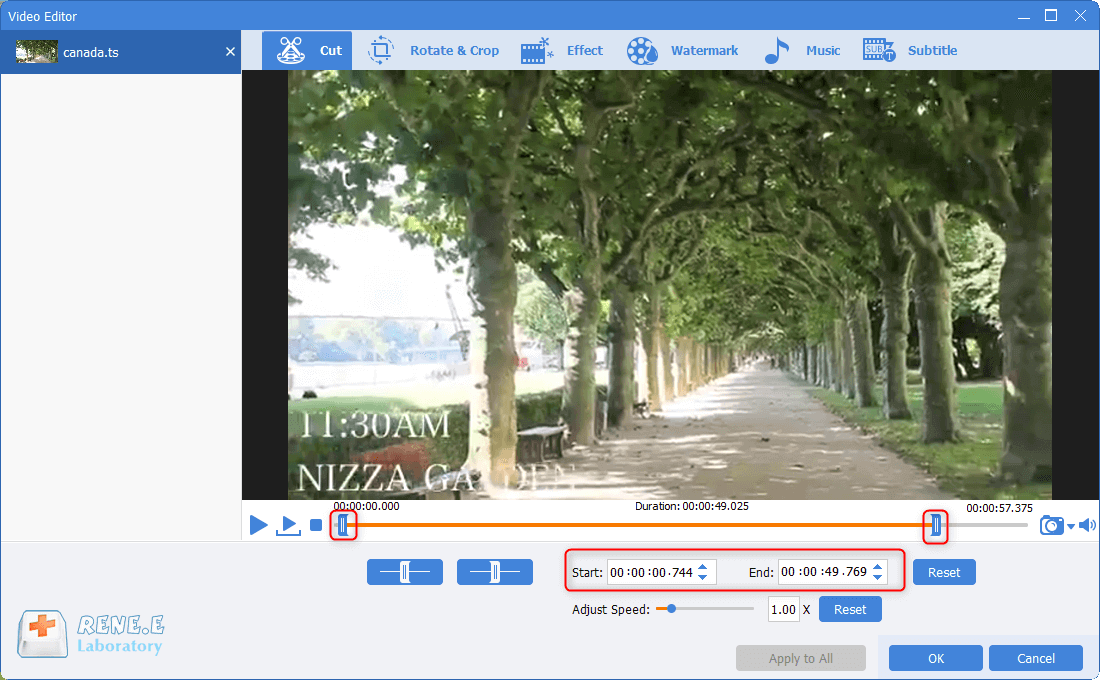 tagliare i file ts in renee video editor pro