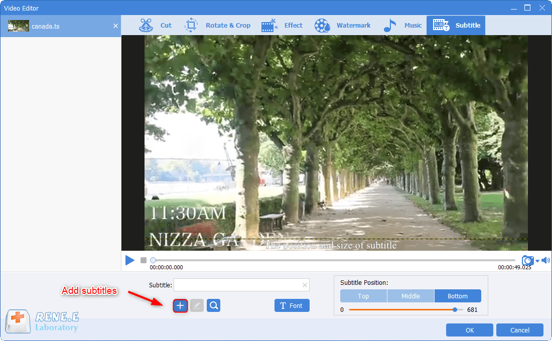 aggiungere sottotitoli ai file ts in renee video editor pro