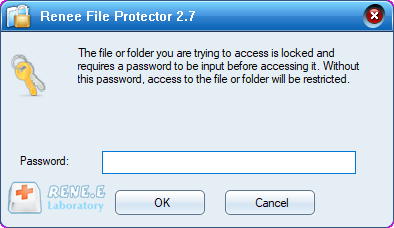 inserire la password per sbloccare il file renee file protector