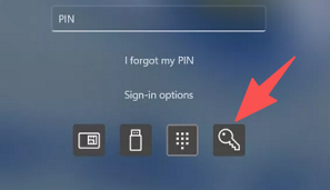 in alternativa, usa l'opzione password per accedere.